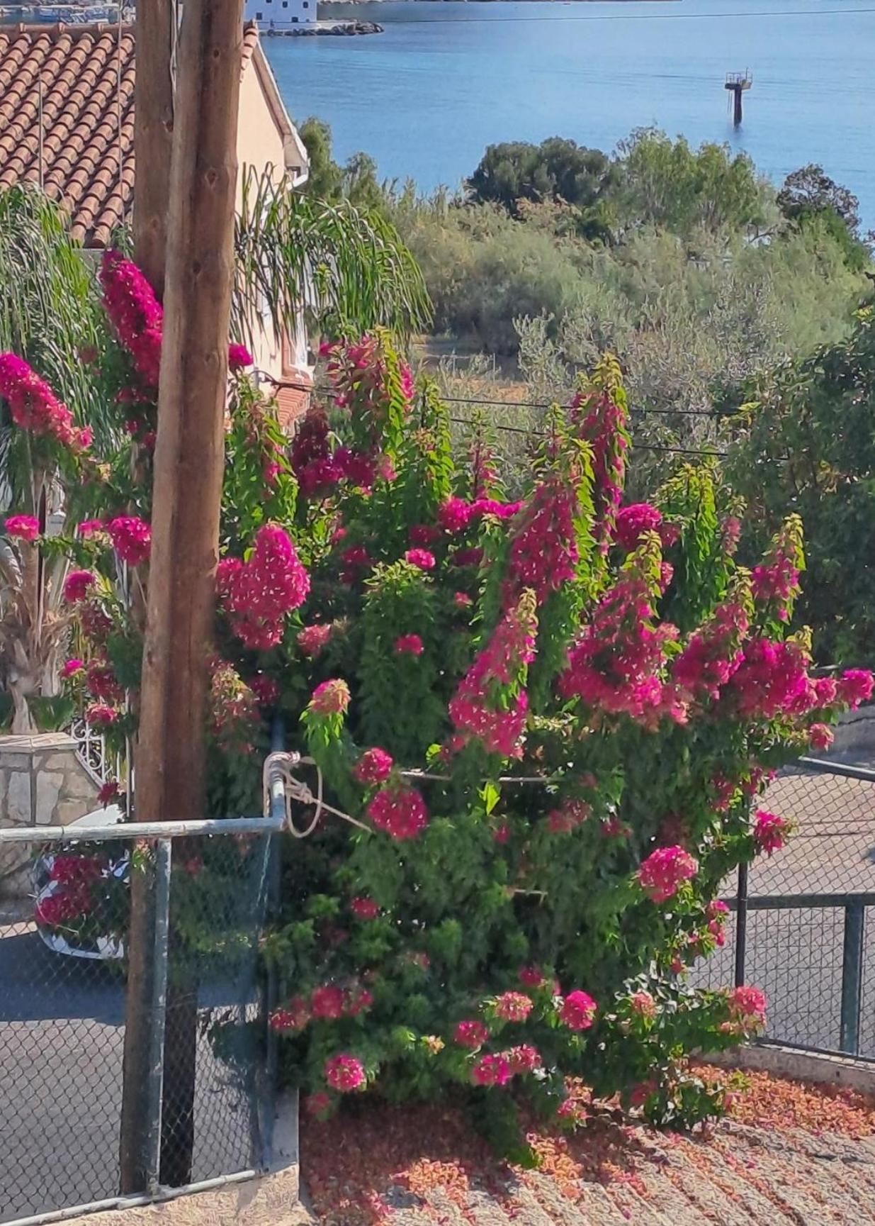 Appartement Bougainvillea Corfu  Exterior foto